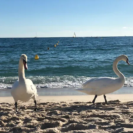 Lägenhet Touchlux Cannes